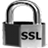 Secure Search